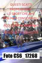 CS6_17268-
