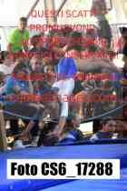 CS6_17288-