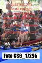 CS6_17295-