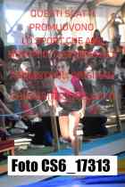CS6_17313-