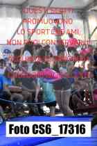 CS6_17316-