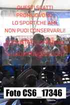 CS6_17346-