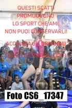 CS6_17347-