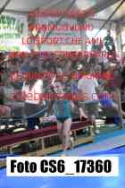 CS6_17360-