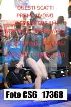 CS6_17368-