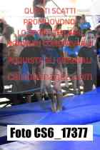 CS6_17377-