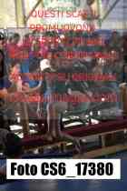 CS6_17380-