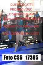 CS6_17385-