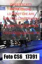 CS6_17391-