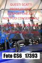CS6_17393-