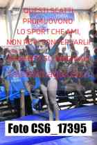 CS6_17395-