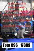 CS6_17399-