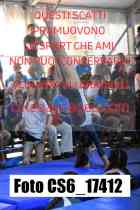 CS6_17412-