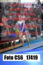 CS6_17419-