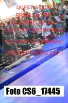 CS6_17445-