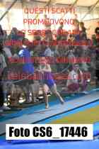CS6_17446-