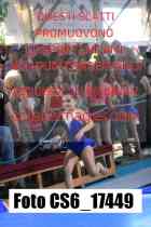 CS6_17449-
