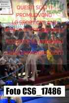 CS6_17486-