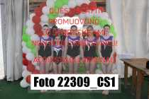 22309_CS1-