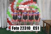 22310_CS1-