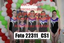 22311_CS1-
