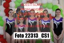 22313_CS1-