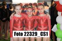 22329_CS1-