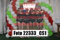 22333_CS1-