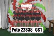 22338_CS1-