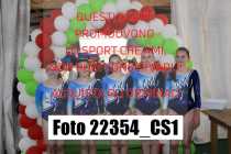 22354_CS1-