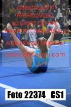 22374_CS1-