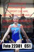 22381_CS1-