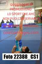 22388_CS1-