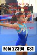 22394_CS1-