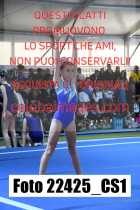 22425_CS1-