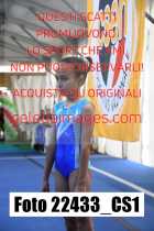 22433_CS1-
