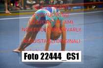22444_CS1-