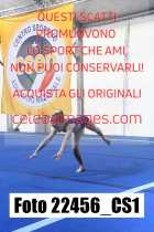 22456_CS1-