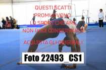 22493_CS1-