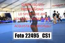22495_CS1-