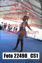 22498_CS1-
