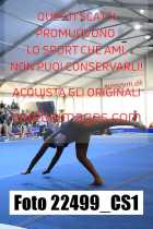 22499_CS1-