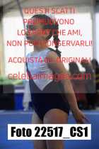 22517_CS1-