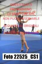 22525_CS1-