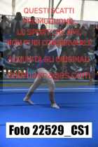 22529_CS1-