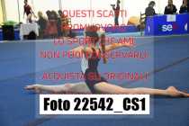 22542_CS1-