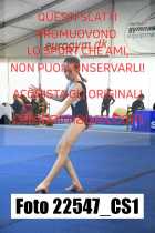 22547_CS1-