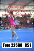 22580_CS1-