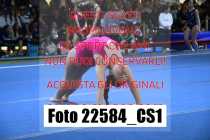 22584_CS1-