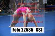 22585_CS1-
